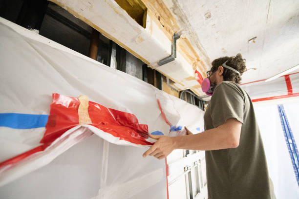 Professional Mold Removal in Booker, TX